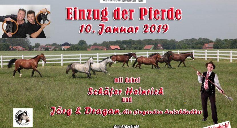 GUT AIDERBICHL Und Die BALLERMANN RANCH